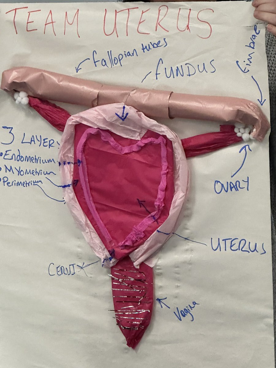 Dylan Vining tweet media