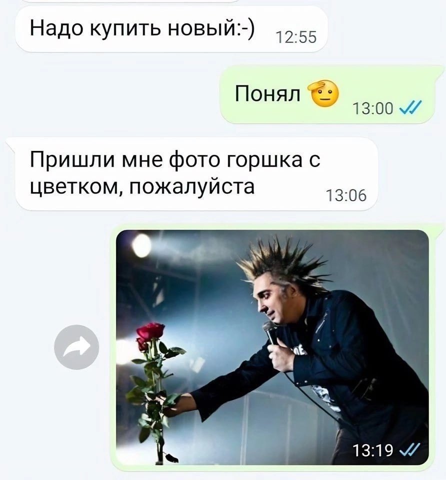 MyataNyata's tweet photo. С этого я сегодня выпал https://t.co/AOyLPGuKsq