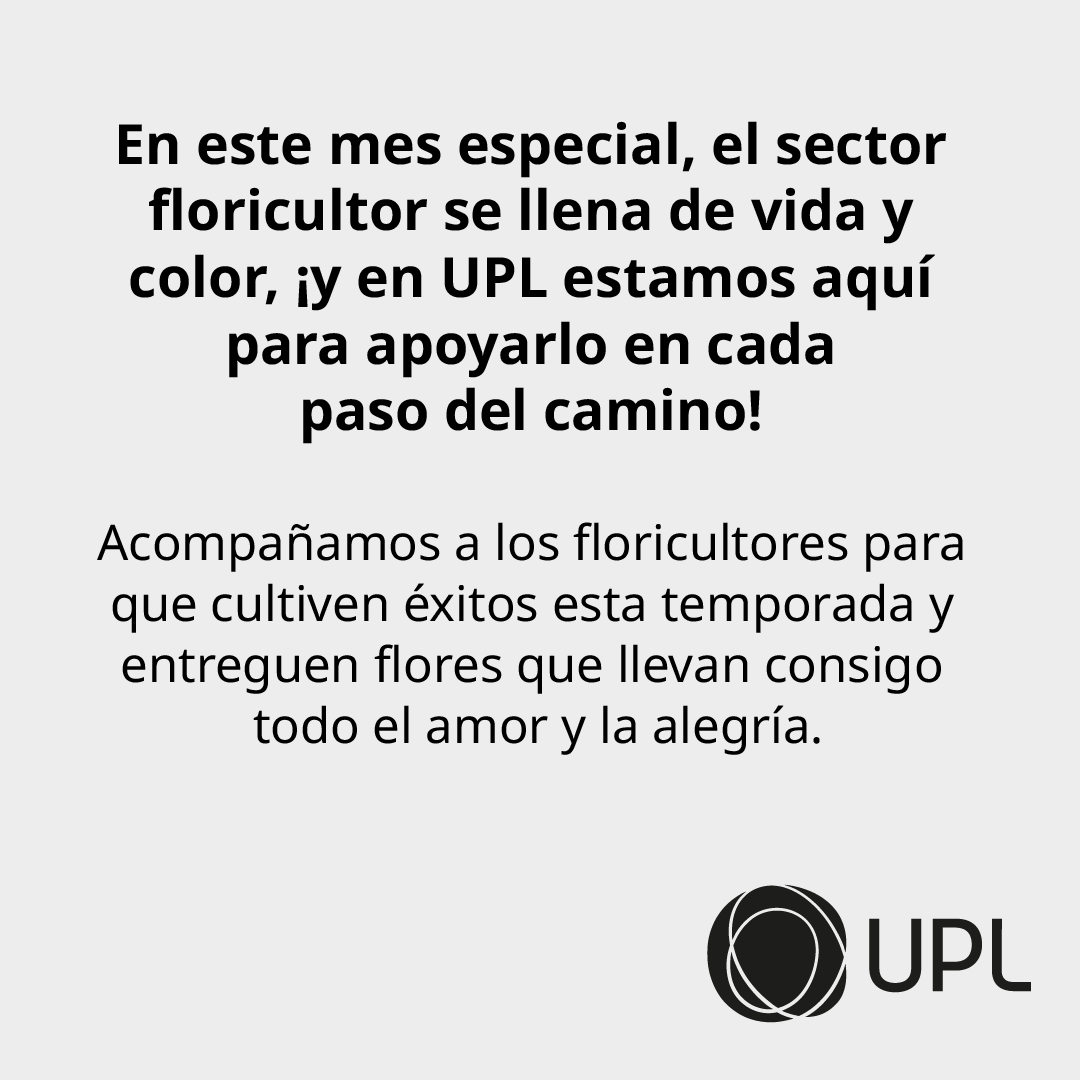 LatamUpl's tweet photo. ¡Celebremos #SanValentín con la elegancia y el encanto de las flores colombianas! Descubre cómo esta temporada dorada no solo llena nuestros corazones de amor, sino que también impulsa la industria floricultora del país. 💐❤️
#UPLLATAM #CultivosSostenibles #Flores #Ornamentales https://t.co/re2LXSV9h5