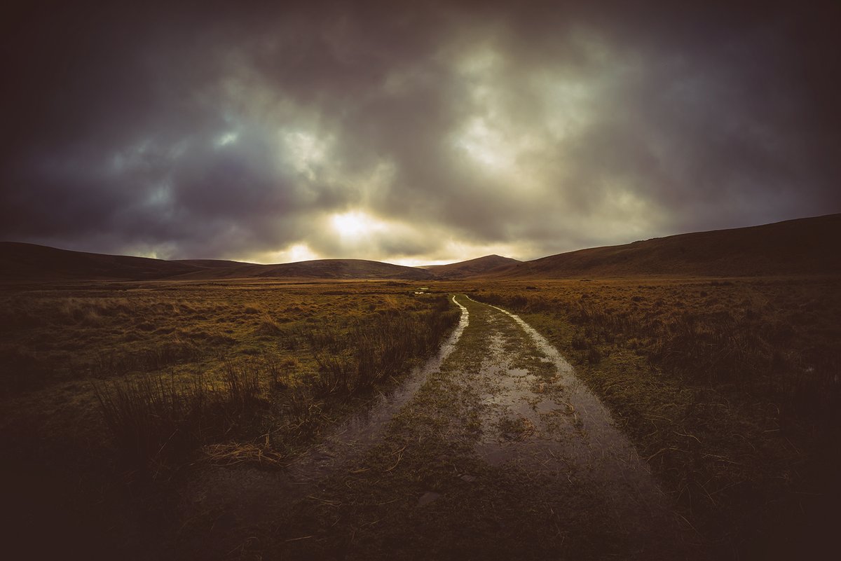 Track through #TawMarsh on #Dartmoor as the sun broke through ... from a wander at the weekend #DartmoorPhotography #DartmoorPhotographer