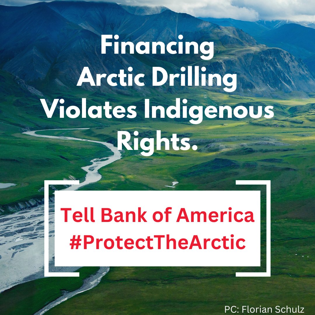 @BankofAmerica vowed not to finance Arctic drilling projects, but a policy change could threaten a sacred place we have been culturally and spiritually connected to for thousands of years. We urge the bank to stand by its promise to #protectthearctic ourarcticrefuge.org/gwichin-steeri…