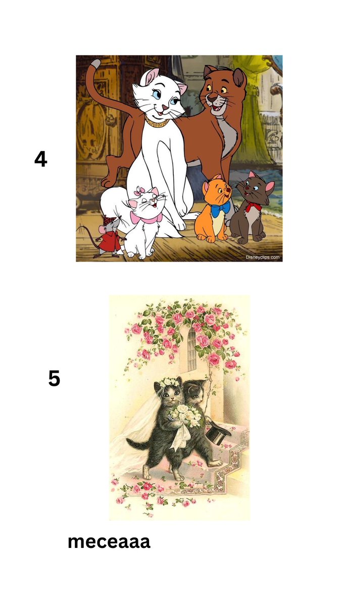 meceaaa's tweet image. نزلت لكم قراءة بمناسبة يوم الحب 😿💓💓
كل عام وانتوا بخير وكل اللي تحبونهم بخير✨
#تارو #تاروت