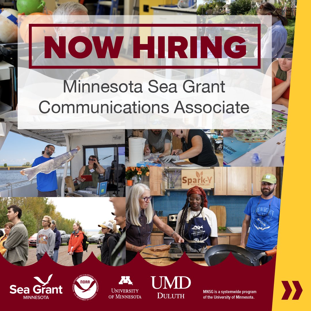 MNSeaGrant's tweet photo. 📣 #NowHiring! 🌊✨ Excited about communicating #science to diverse audiences? Do you have a knack for storytelling and community engagement? We're looking for a talented #CommunicationsAssociate to join our team at Minnesota Sea Grant! 🔍 Find out more: https://t.co/HyCHjsepqp https://t.co/N7Is4ReNMa