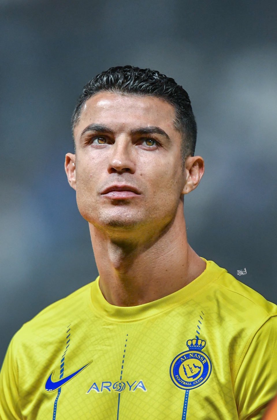 Ronaldo awaits fourth Ballon d'Or coronation - myRepublica - The New York  Times Partner, Latest news of Nepal in English, Latest News Articles