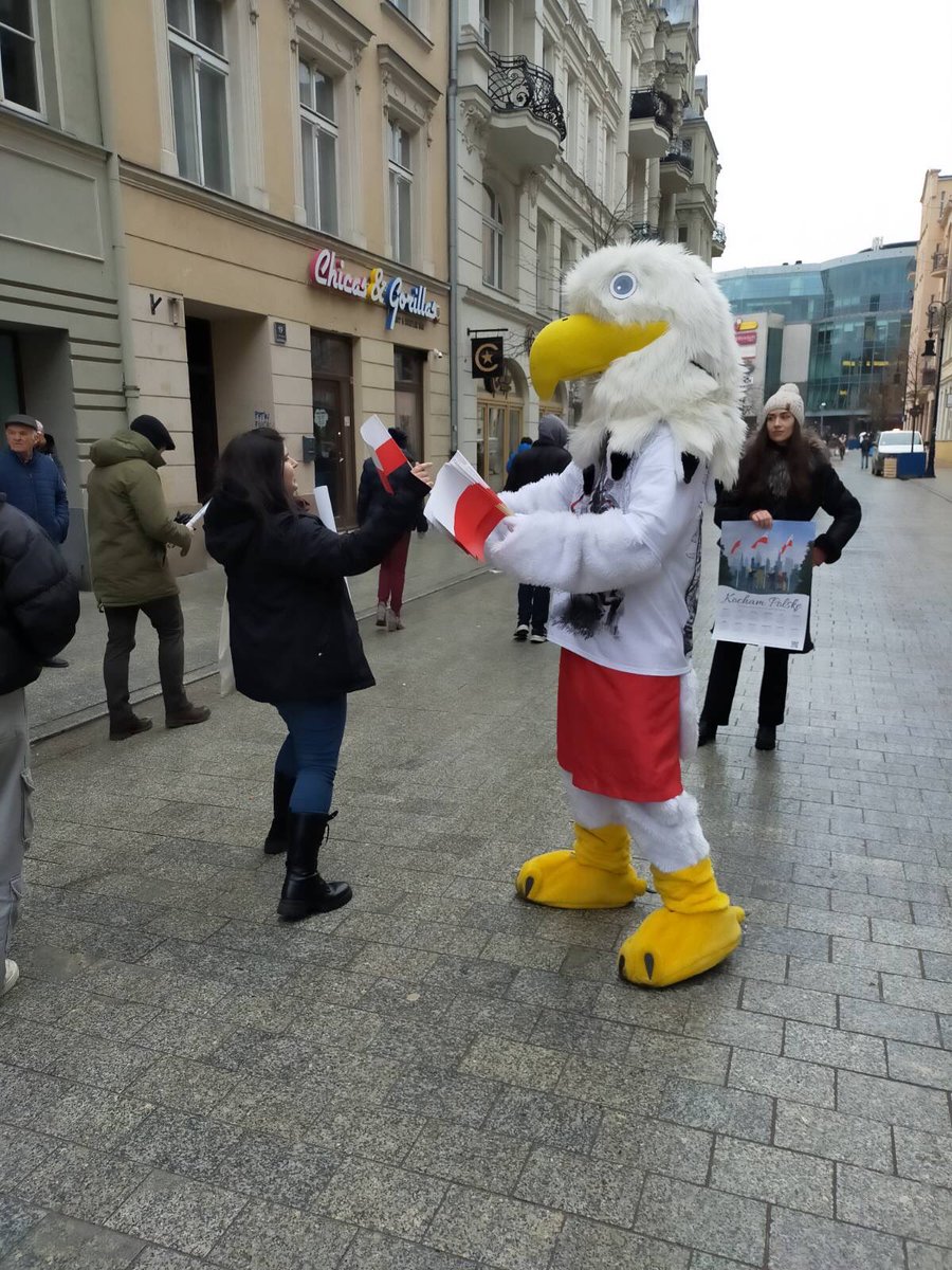 OrzelKonf's tweet photo. Dzisiaj w Poznaniu mój brat #OrzełPatriota pomagał działaczom @MWszechpolska rozdawać plakaty w ramach kampanii społecznej #KochamPolskę 
Tegoroczna edycja zwraca szczególną uwagę na szacunek dla polskiej flagi 🇵🇱🇵🇱🇵🇱 https://t.co/RUKoyobrTC