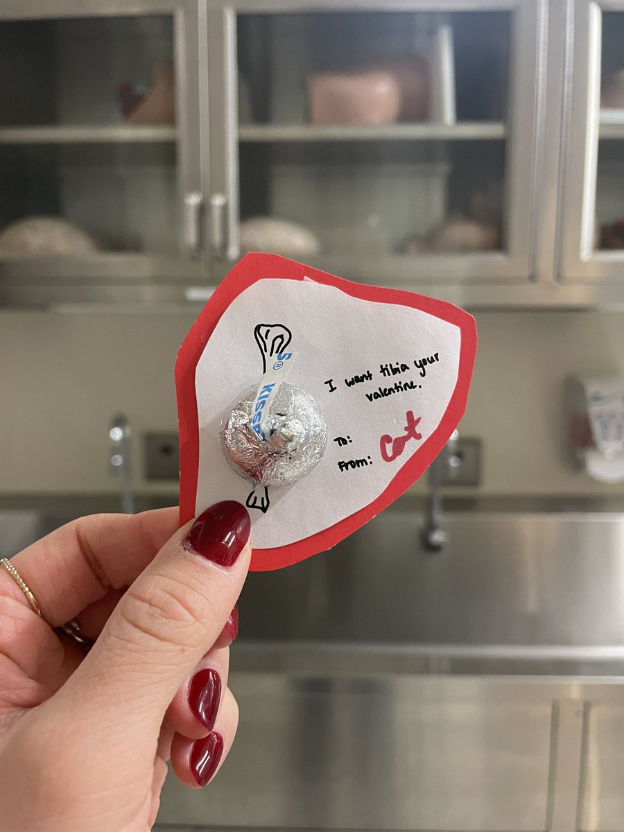 spreading the love in the anat department this morning <3