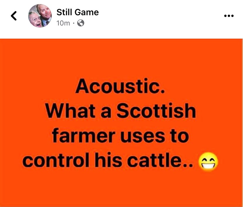 ppype's tweet image. 