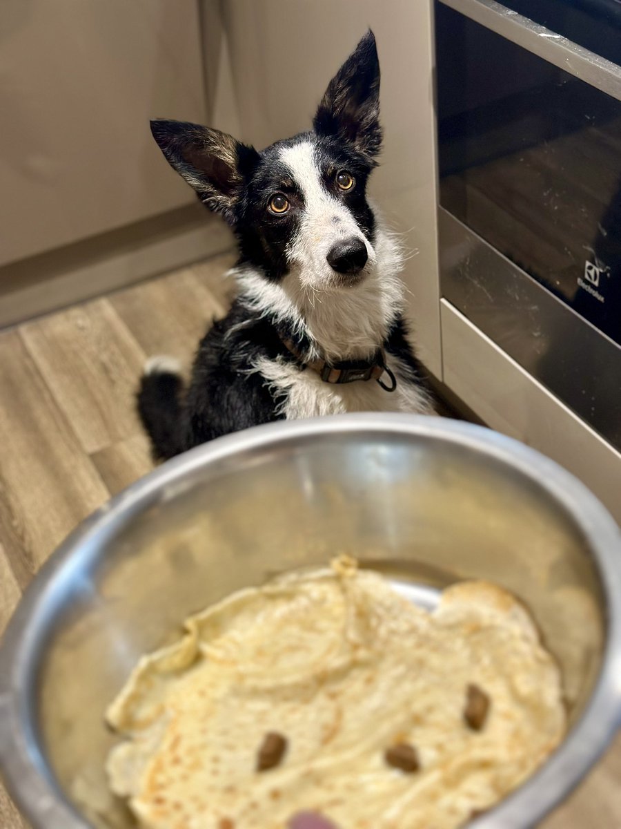 Charlie, enjoying pancakes since 2011…this year, Gwen stepped up to the plate to help with the “testing”. 
(I know we’re a day late)