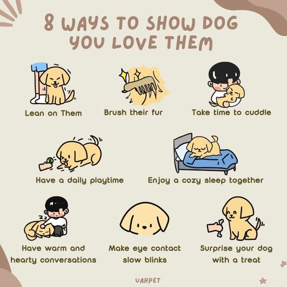 Purrfecthub's tweet photo. They say actions speak louder than words, so let your love for your dog shine through!❤️⁠ #purrfecthub #dogs #dogsbeingbasic #dogsalon #dogstargram #dogsofficialdog #dogsofbark #dogsworld #dogsoftheworld #dogslove #dogsarelife #dogsoftoronto #dogsofvancouver #dogsofcanada https://t.co/fZmcfMn47W
