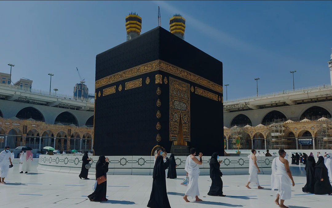 WIZZ🥷 ( beware scammers ) tweet media