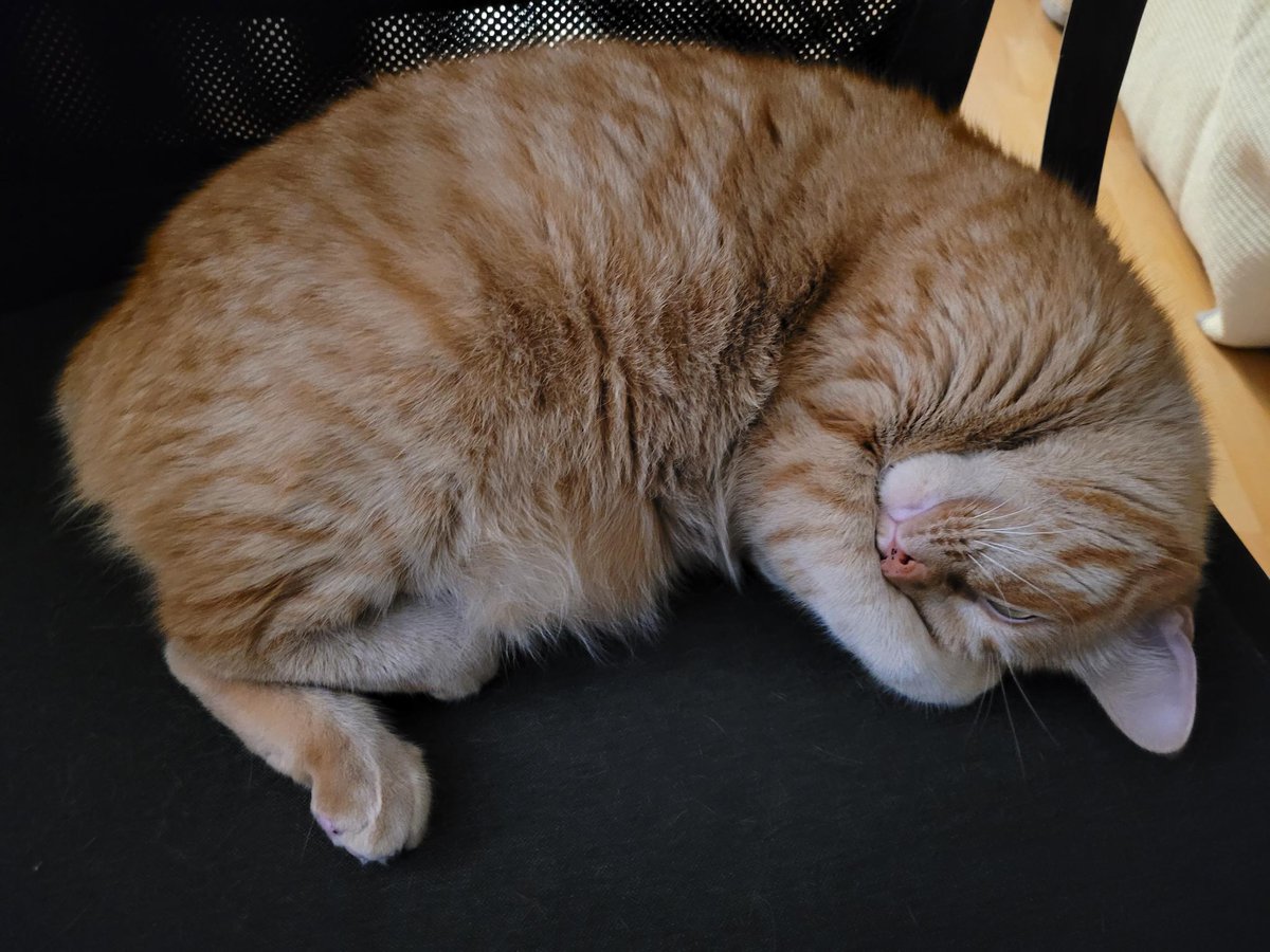 RiverSongCat's tweet photo. Joyeuse Saint Valentin mon chamoureux Merlin @ArtagnanEt ❤️ https://t.co/pZHqZlqDR0