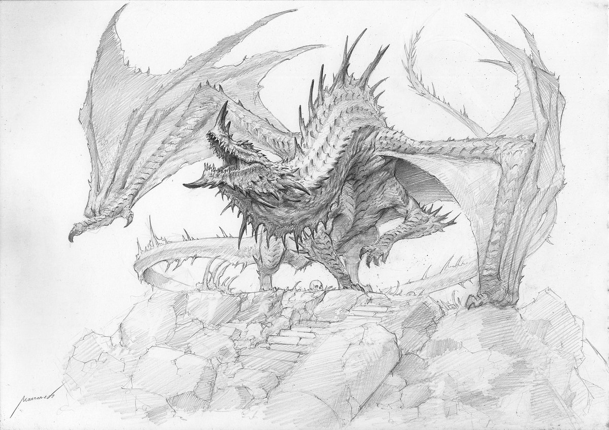 Dragon sketch II