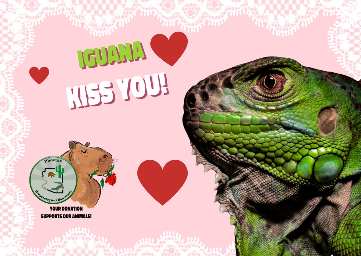 Happy Valentines Day from PHS ❤️🦫💌🐢