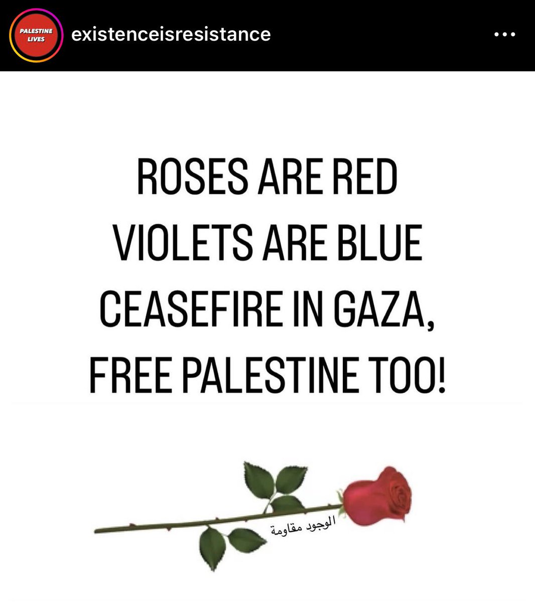 🇵🇸🇵🇸🇵🇸🇵🇸💜💜💜✊🏾✊🏾✊🏾