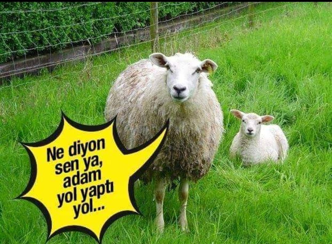deridoorr's tweet photo. @whisperhaber Adam dün ak dediğini bu gün kara diyor ve alkış ile oy alıyor adam bu milleti çok iyi tanıyor makarna yiyen tv ve facbok dışında dünyada haberi olmayan topluma ne dersen ona inanır tebrik ederim  reis hela olsun sana rabi işaretine devam https://t.co/WvQflA1NFV