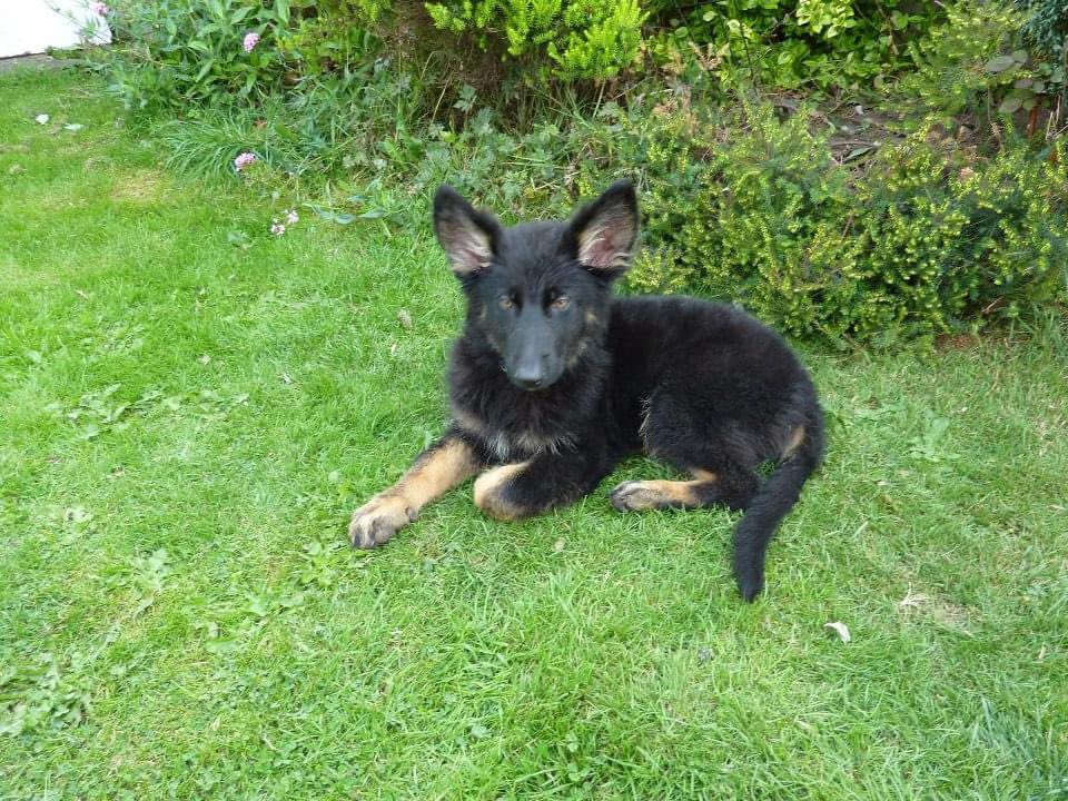 Liam 🐢 tweet media