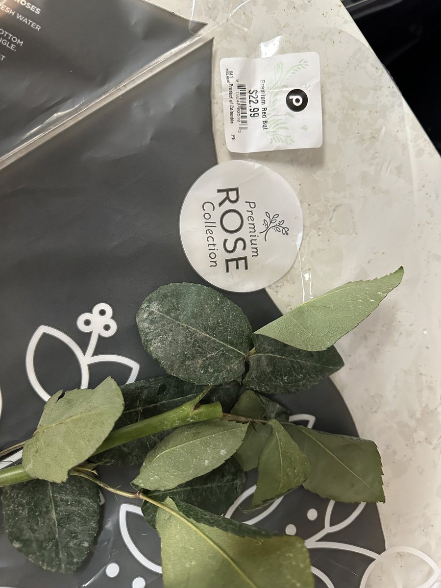 SmokinReels's tweet photo. @Publix bought 12 roses, received 11. Is that the opposite of a bakers dozen? BTW we got 12 stems. https://t.co/MMXzVkVKDx