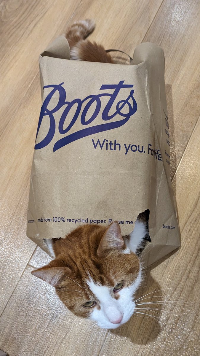 When you get an online delivery And the cats in the bag Puss in BOOTS 🤔😸 @BootsUK #cats #catsof