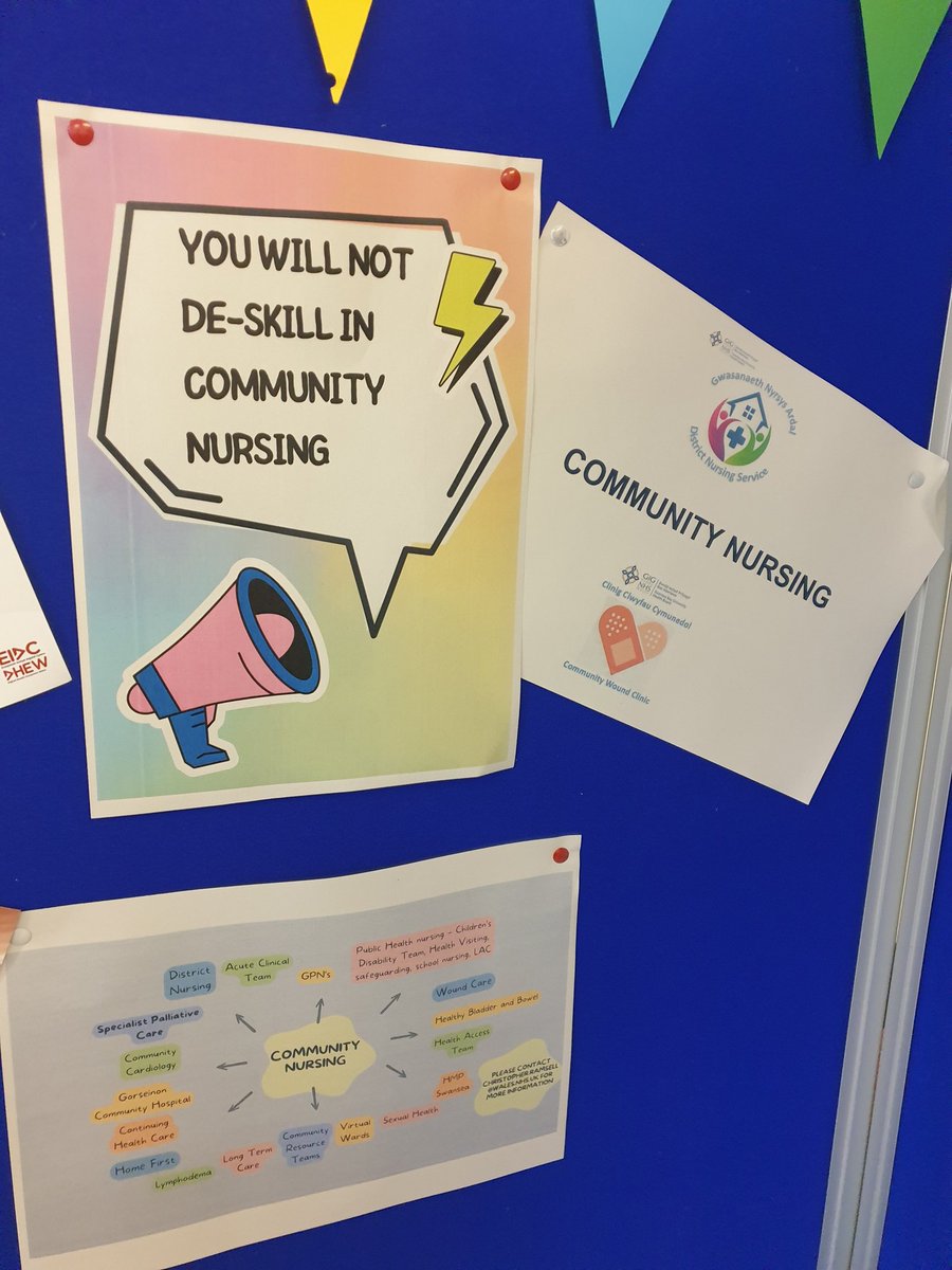 Cat Rin 💙 tweet media