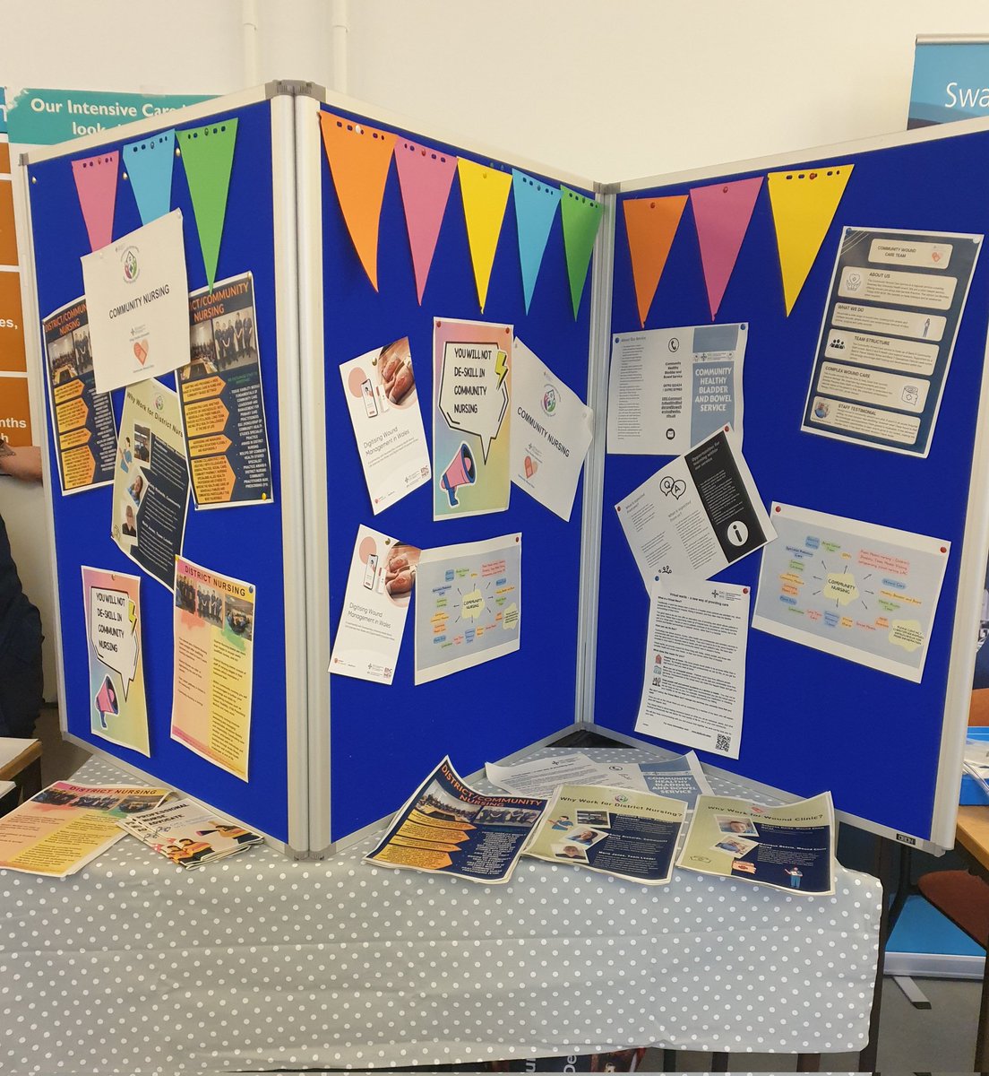 Cat Rin 💙 tweet media