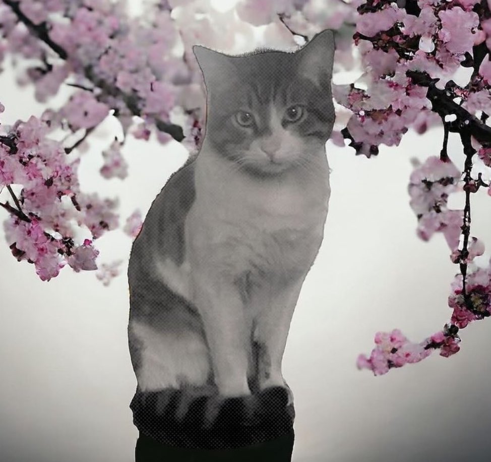 Artık açıkça dile getiriyorum düşündüğümü. Eros ve diğer canlar için değer. Bence sağlam bir rüşvet veya siyasi bir koruma var bu katillere. Gündemimizden düşmemeli. Konuşulmayınca örtbas edilmeye devam edilir. Bugün de yakalama haberi gelmediği için bunu düşünmek zorunda kaldım.