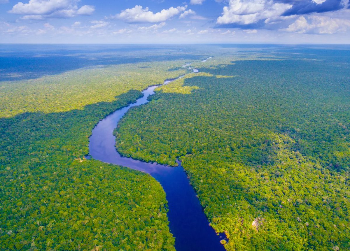 Climate_Inst's tweet image. Congrats to Climate Institute VP @_WalterVergara for his outstanding article on how we can avoid disaster in the #Amazon -- Take a look here!
climate.org/can-we-steer-a…
#ClimateAction #nature #CarbonMarkets #Carbon #Sustainability