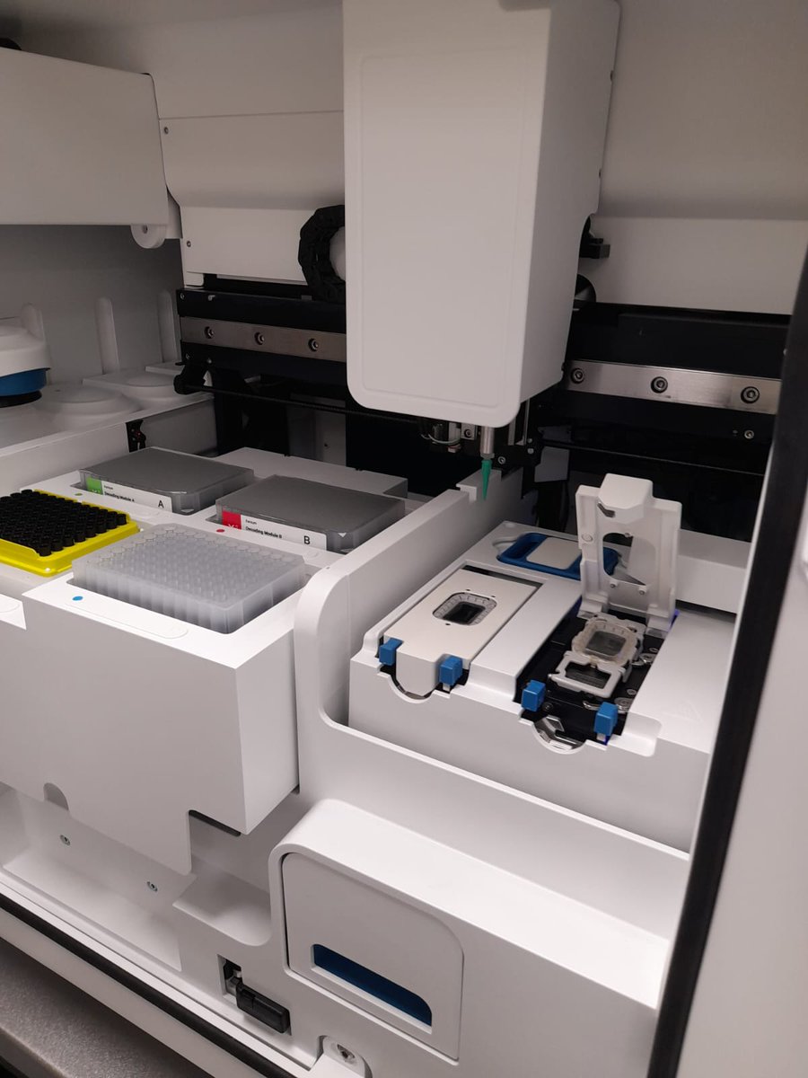 Xenium training complete! Ready to begin #xeniumxploring 

Thank you for your help <a href="/10xGenomics/">10x Genomics</a> and <a href="/lab_bonsai/">BonsaiLab</a> 

<a href="/DanielaGrases/">DanielaGrases</a> and the team are ready!