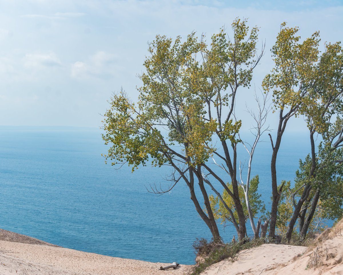 squirreltravels's tweet photo. https://t.co/jRyEQYXaJZ
Dreaming of summer at the Sleeping Bear Dunes https://t.co/SKr1p6z0zA