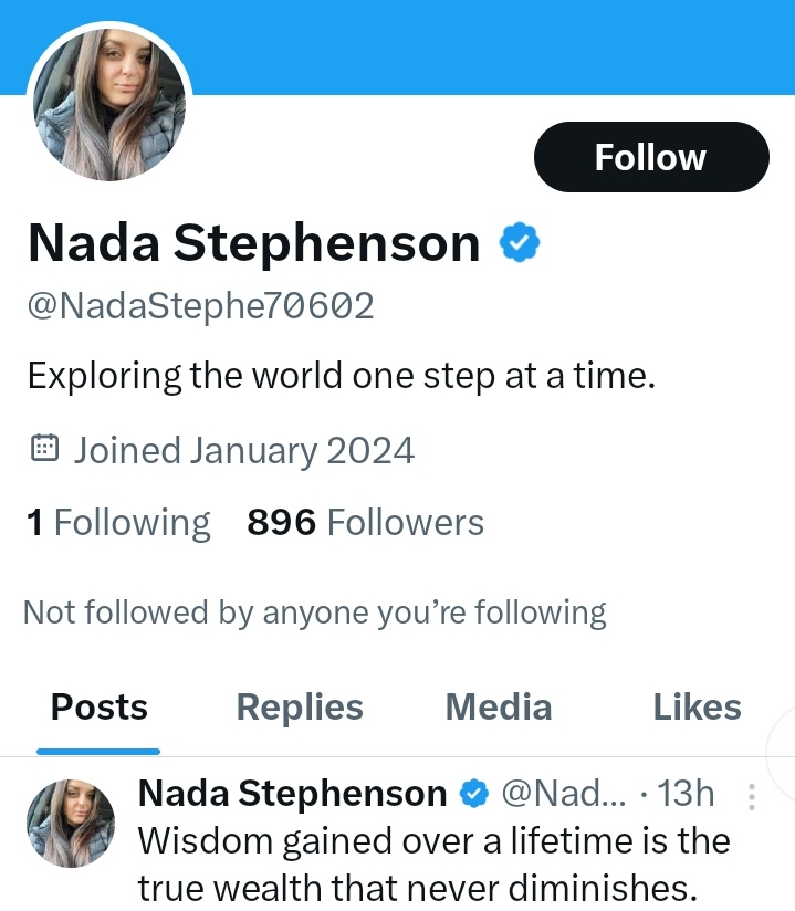 BalladeerMike's tweet image. Like this one? #AI_bots 
The "1 following" is Elon Musk!  Several other Musk accounts appear in the followers list.