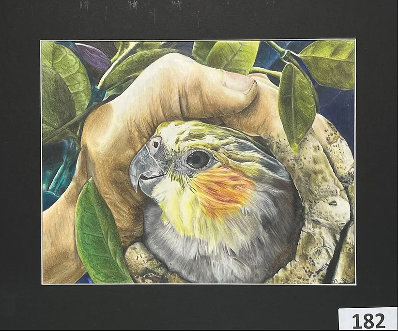 HumbleISD_CMS's tweet photo. CMS has 3 students whose artwork made the Top 30 of the Bayou City Art Festival Middle School Art Competition! Vote for the People's Choice Winner at https://t.co/8UwmtQKspU. #182 - Nathan Griffing | #184 - Dani Ortiz | #177 - Aashi Narayanan https://t.co/Hemb2LE77m