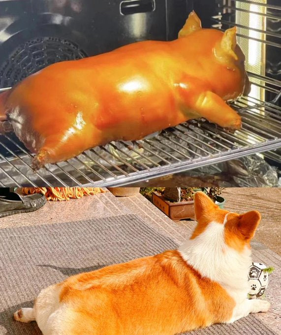 esdevieel's tweet image. Why this photo is so funny 😂😂😂😂😂😂