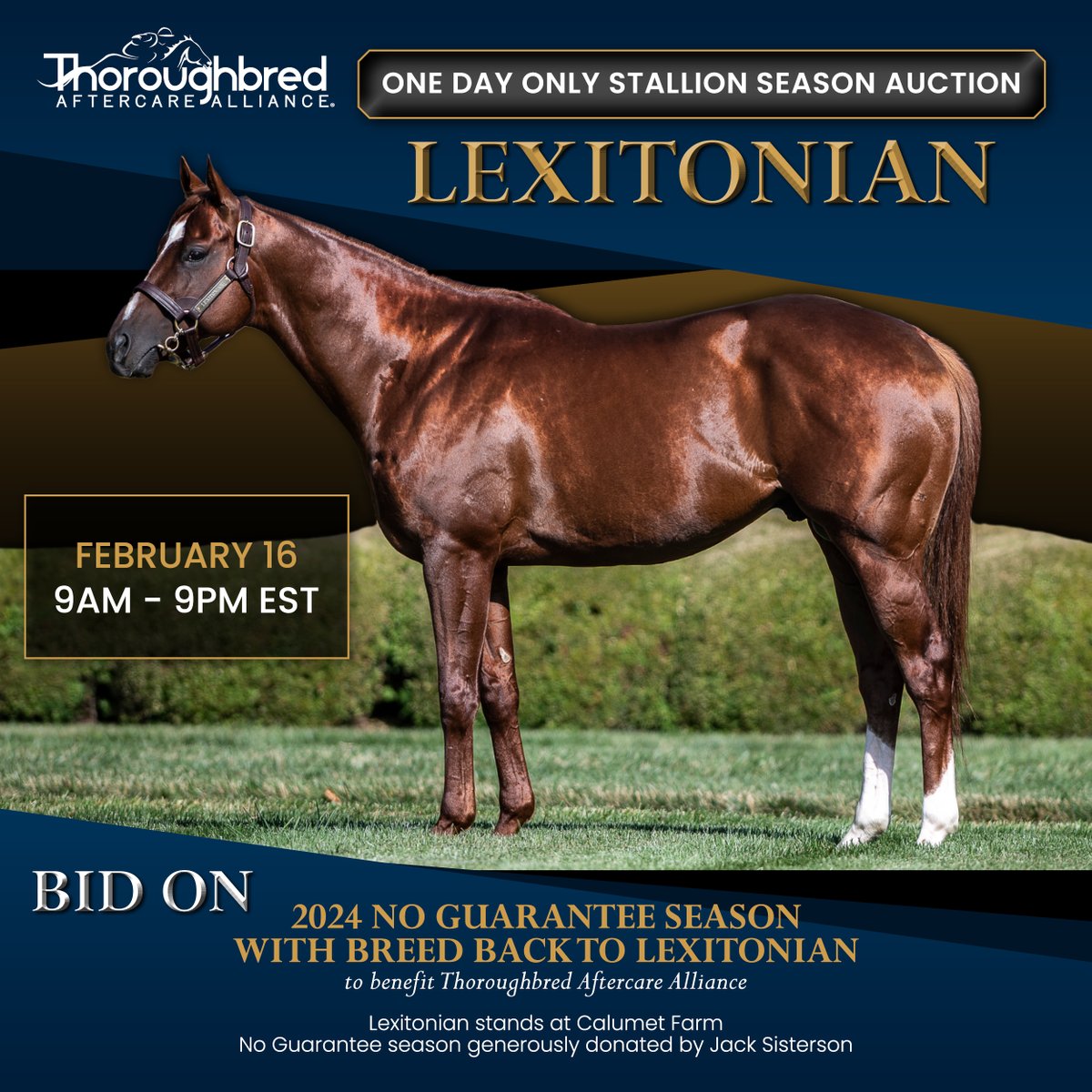 Bid on a 2024 No Guarantee season with Breed Back to LEXITONIAN to benefit Thoroughbred Aftercare. Generously donated by @JackSisterson. Lexitonian stands at @CalumetFarm. ONE DAY ONLY: Feb 16, 2024 | 9AM - 9PM EST Visit: cbo.io/bidapp/index.p… #Horseracing #Stallion