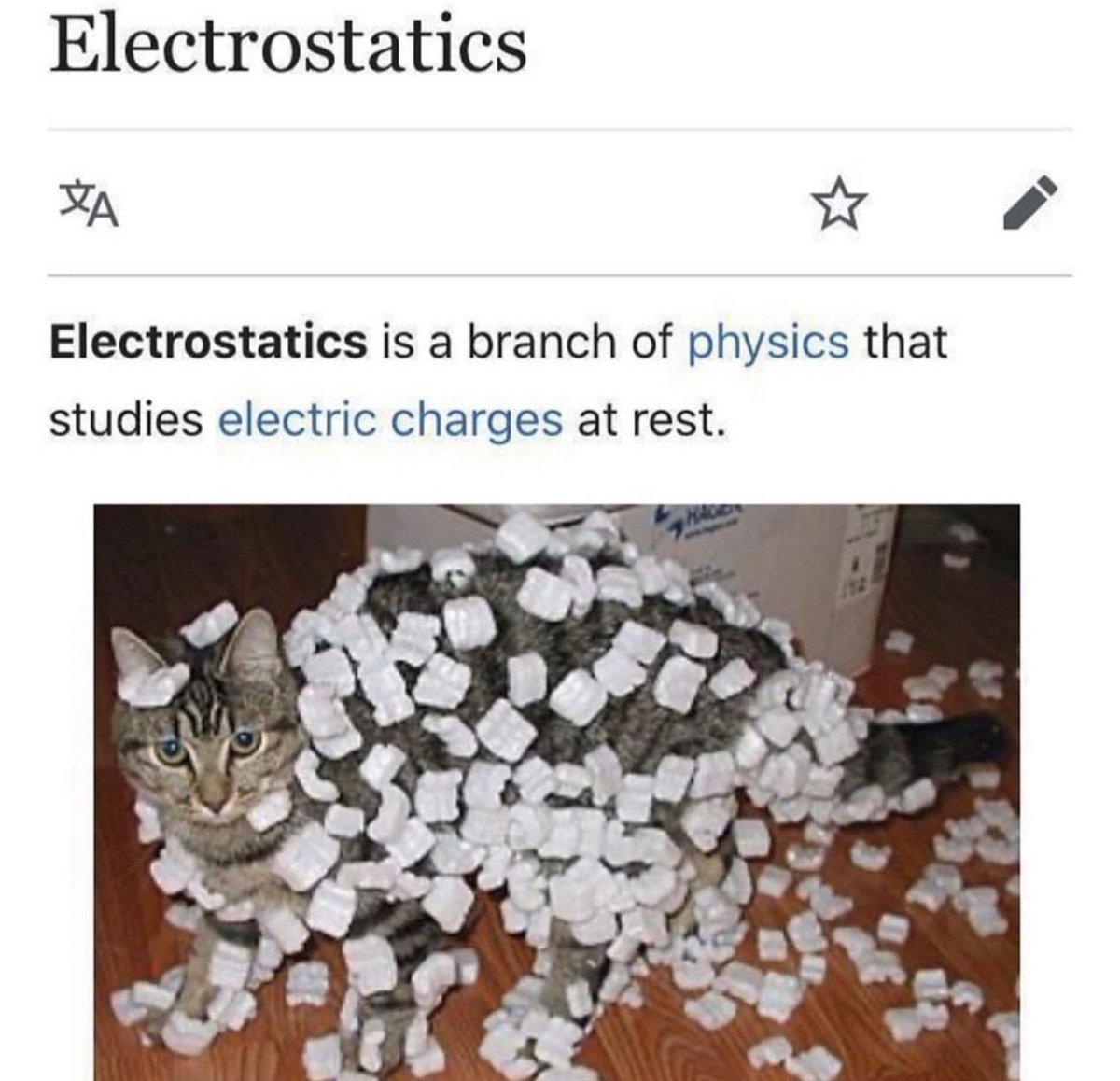 Posts Of Cats tweet media