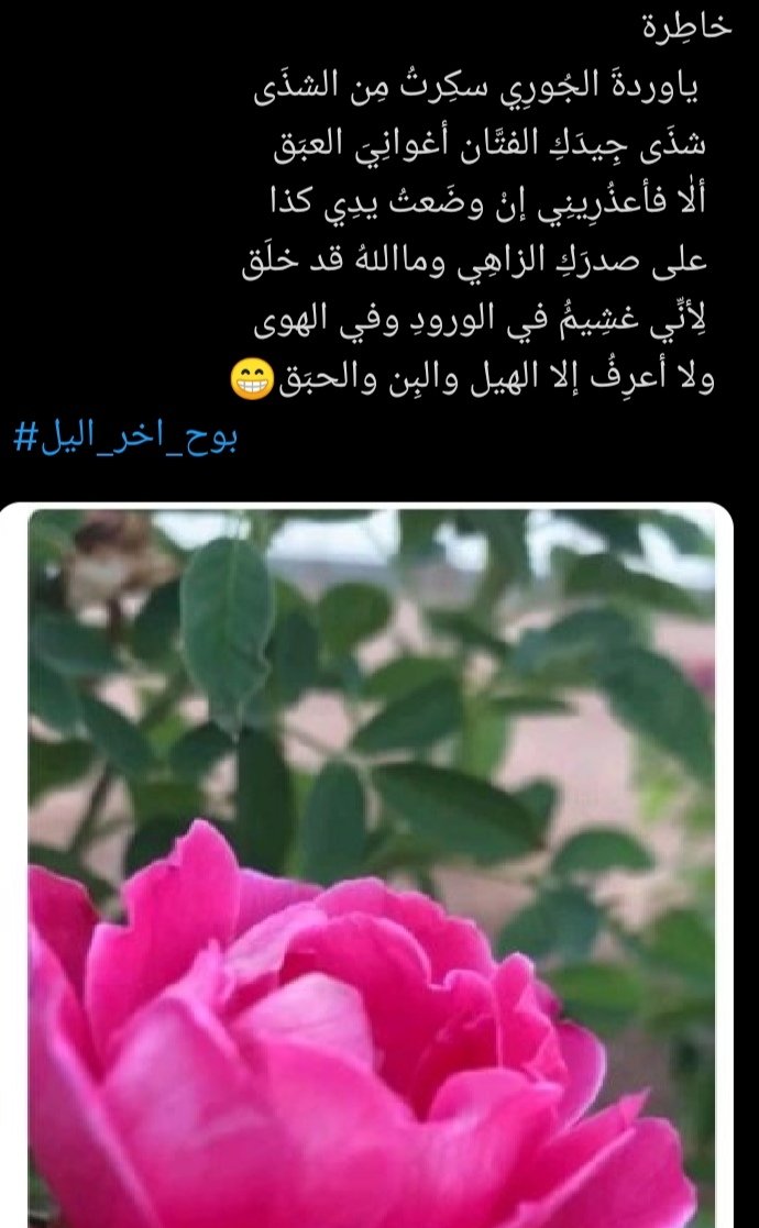 الشاعر عيسى الجديبا الحربي tweet media