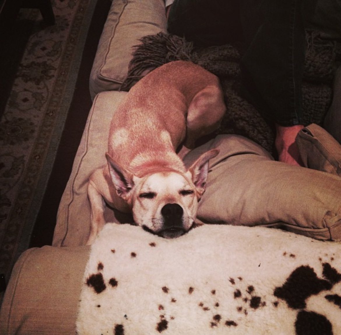 To the little love that I’m missing most this Valentine’s.