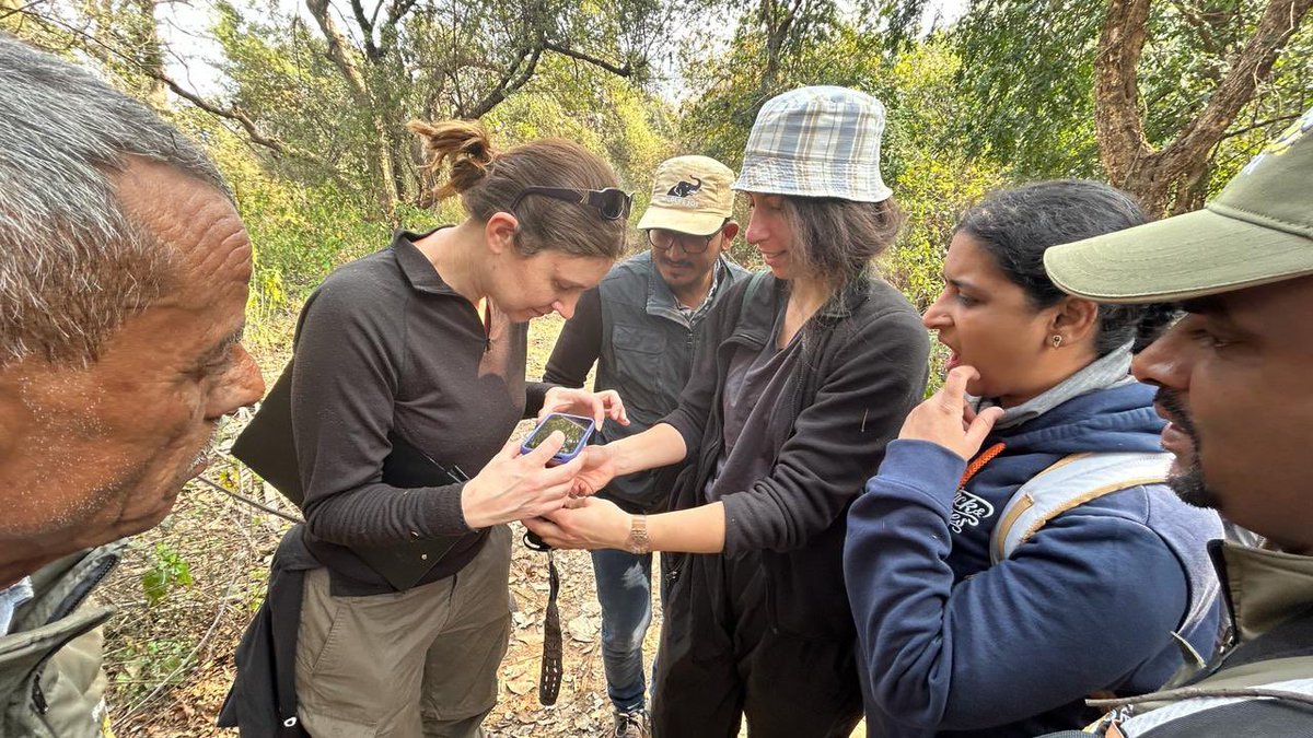 Wildlife Institute of India tweet media