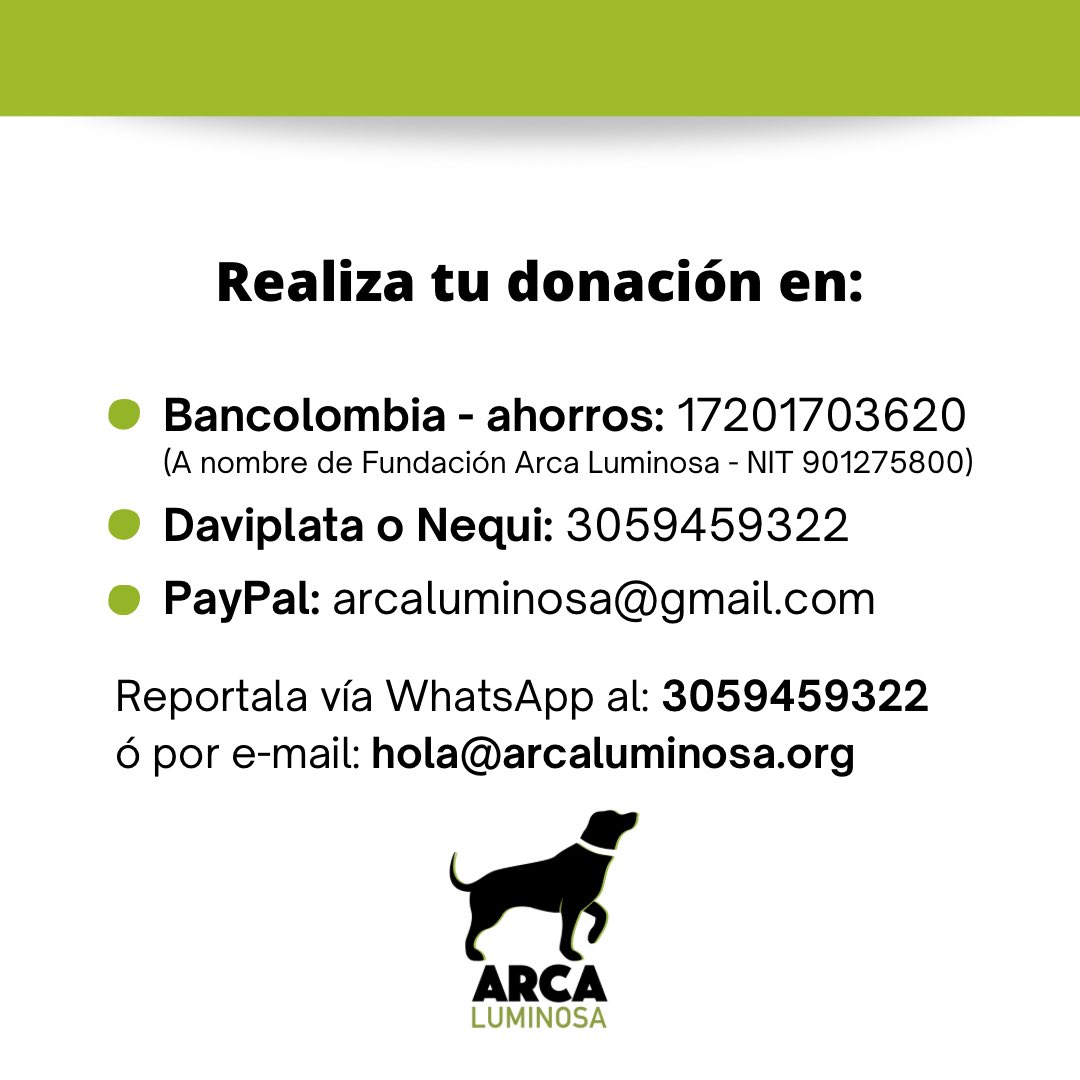 ArcaLuminosa tweet media