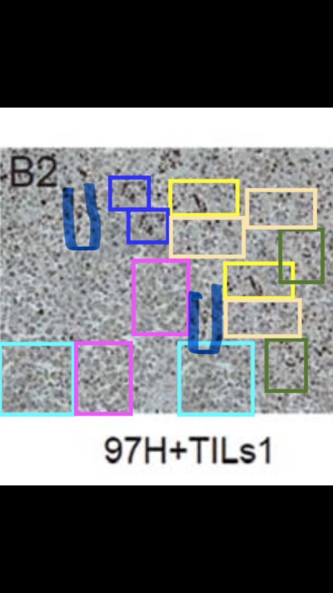 David Ansley ☕ tweet media