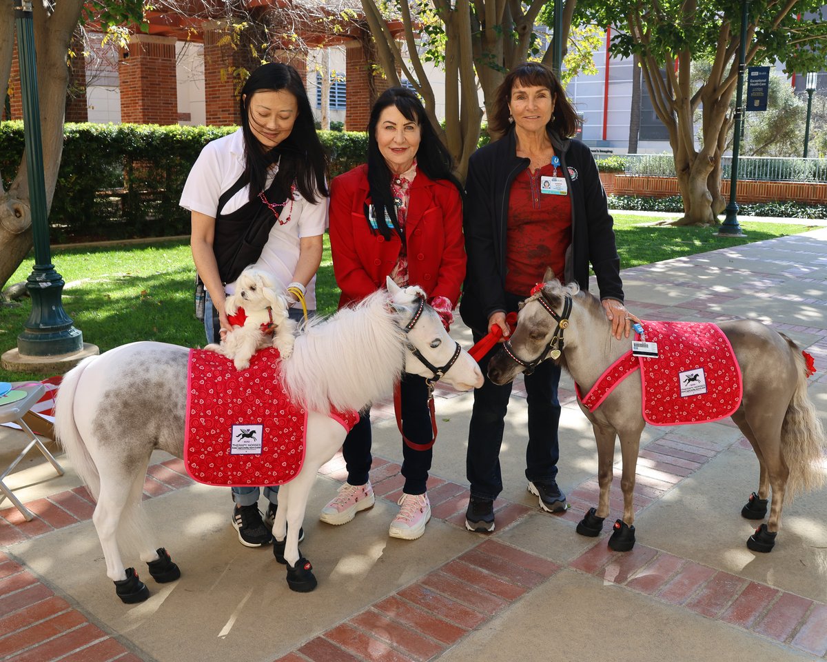 Love is in the air 🐾 ❤️ Thanks to our furry friends at People-Animal Connection, there was no shortage of cuddles today. Dogs and our mini horses delivered valentines, while UCLA Bruin Medleys A Cappella group sang sweet tunes for our patients and staff. #ValentinesDay