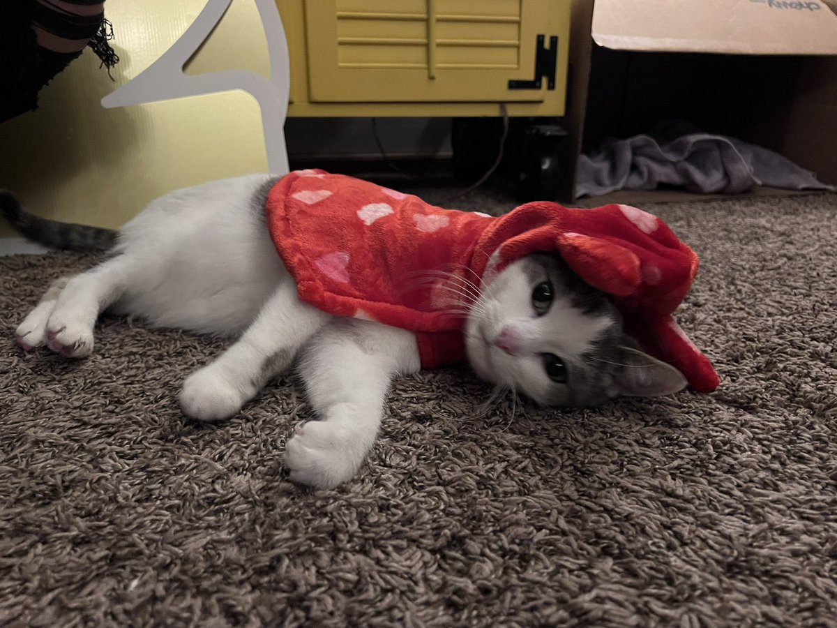 Moe Mijjum tweet media