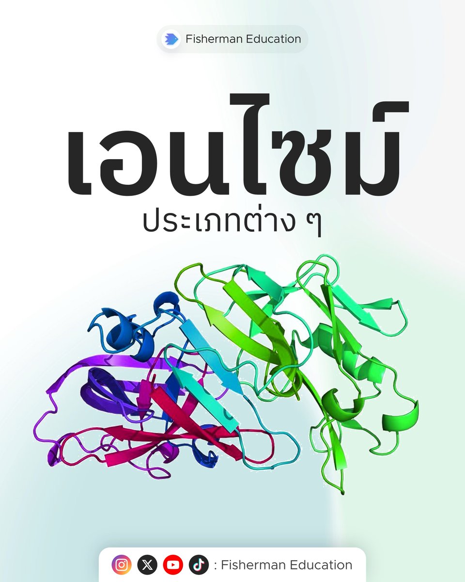 Fisherman | ชีวะไอ้มิว, A-Level, วิทย์การแพทย์ tweet media