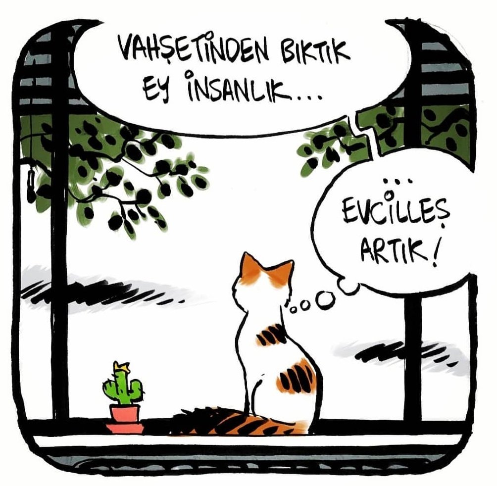 ipekayko's tweet photo. Bıktık senin vahşetinden ey insanlık ! 
#ibrahimkeloğlantutuklansın https://t.co/ul7f3N8aqR