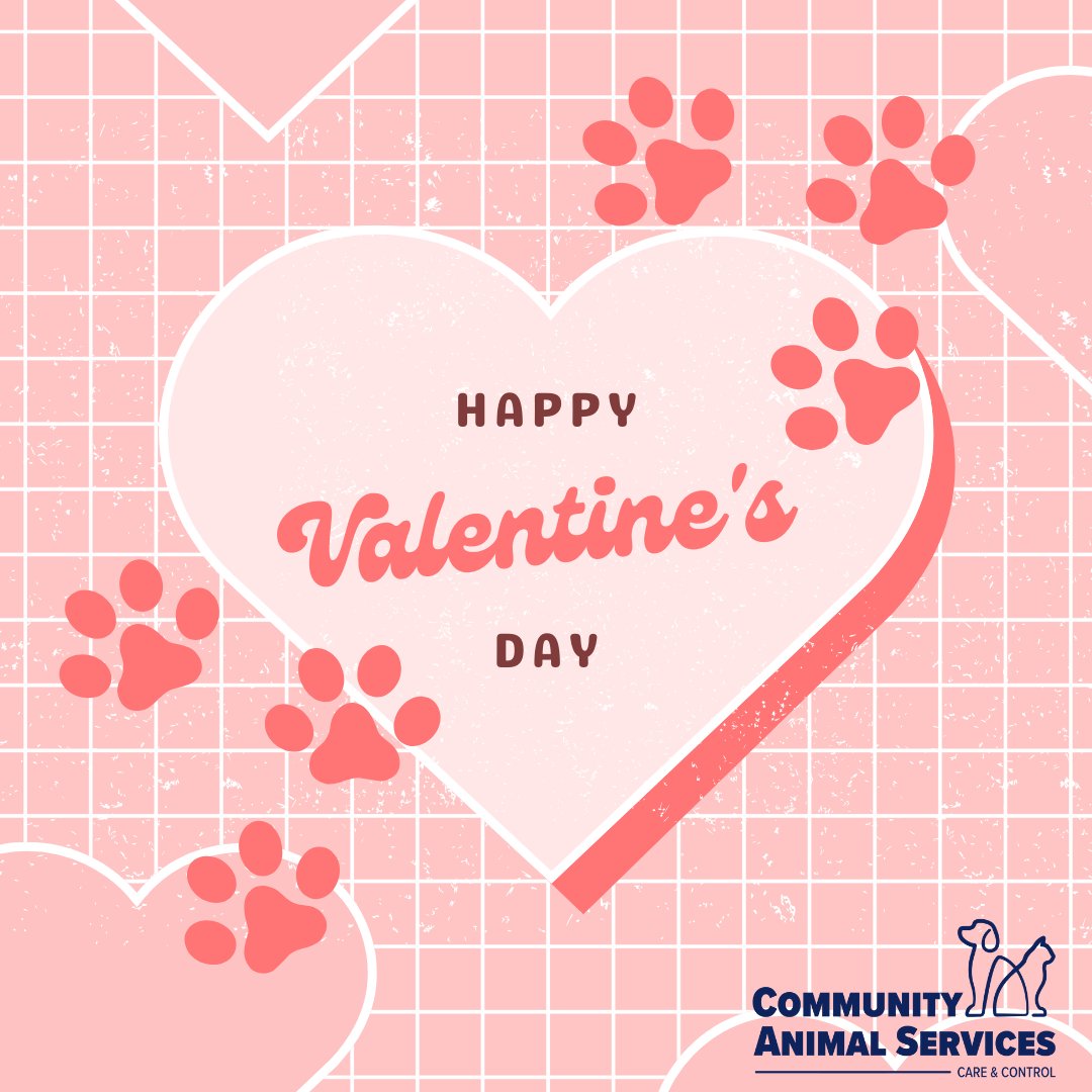 ComAnimalSrvYQL's tweet photo. We get it, Valentine's Day can be ruff. That's why we made the puuurrrfect cards for your crush. 💘

#yqllife #petadoption #Lethbridge #yql #yqllocal #Opt2AdoptYQL #animalshelter #yqlpets #yqllove #lethbridge #petownership #animalservices https://t.co/wjFLPT7zmU