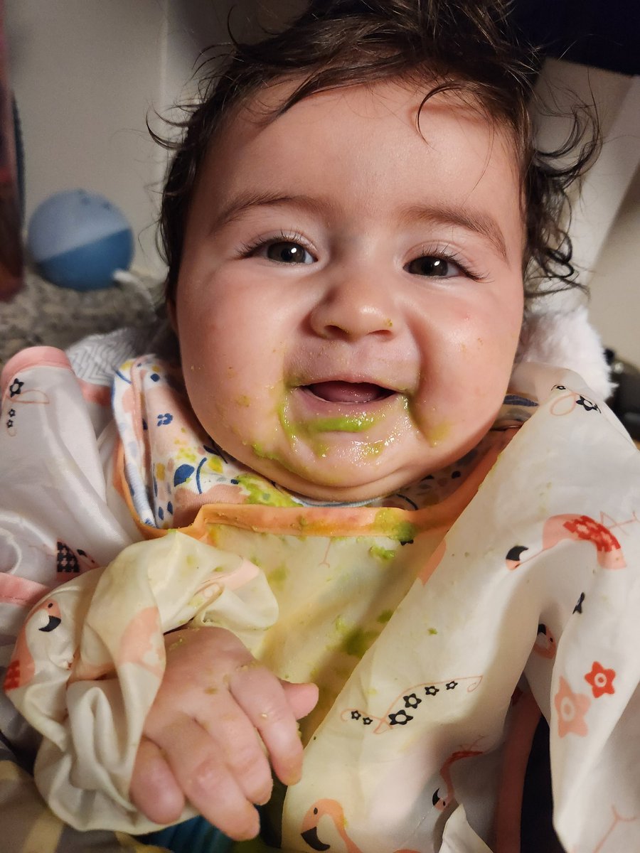 TellGoDiSaidSup's tweet photo. @pulte For my little princess. She just started having foods, don't mind the pea puree in her face. 😀

$TFOLEYFLA https://t.co/wETkd1blPB