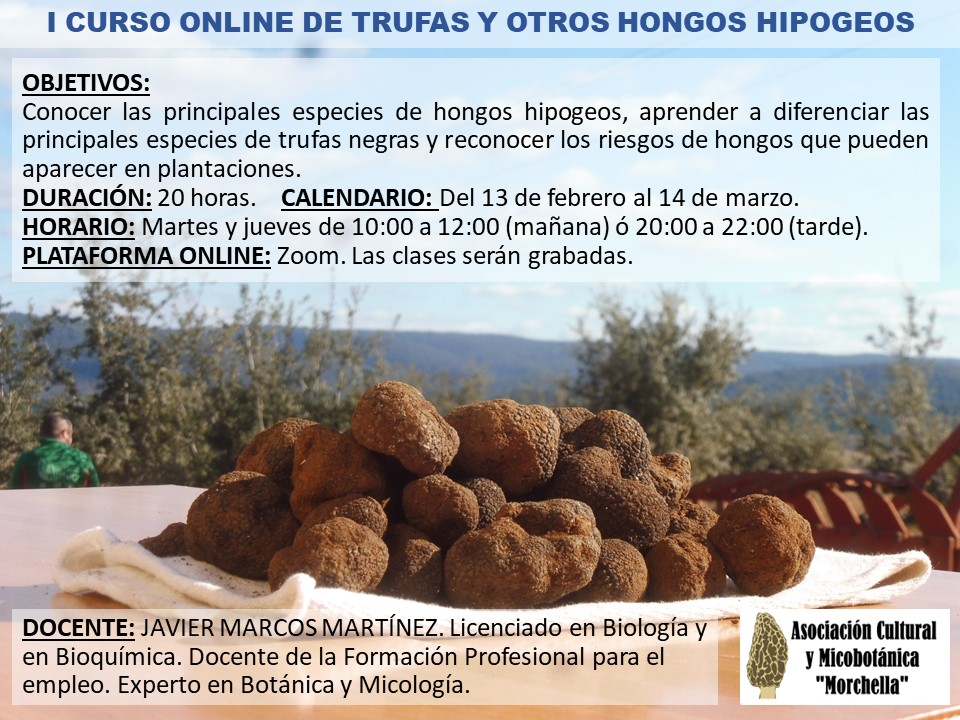 Curso online de trufas y otros hongos hipogeos. Duración del 13 de febrero al 14 de marzo. Organizado por la asociación cultural y micobotánica 'Morchella'.