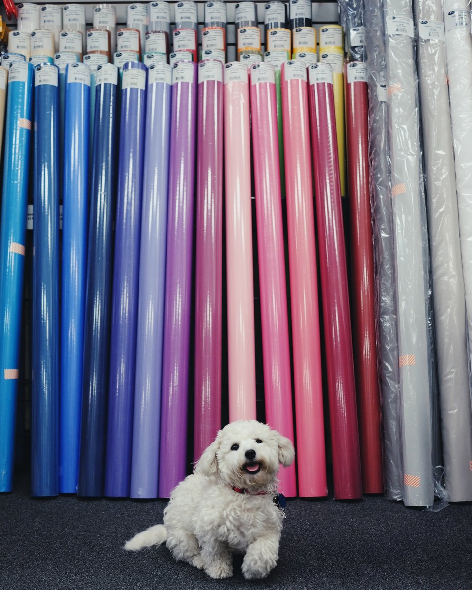 Behr wanted to let everyone know that we have Savage Background Paper! We have many sizes and colors available 📸 Time to stock up! actioncamera.com #photography #photographer