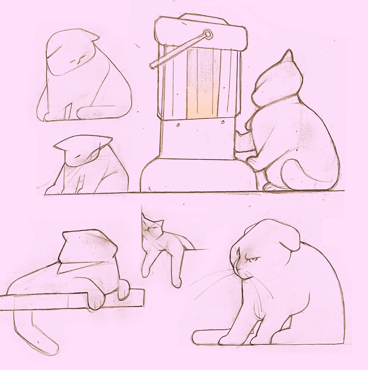 popkins_style's tweet photo. Just cats for algorythm https://t.co/Qx08C44l64