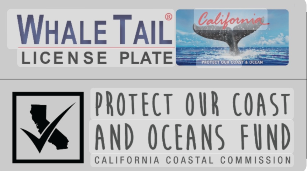 Thru the sale of #WhaleTail license plates the @CACoastal commission can issue grants to schools to learn about our beautiful coast & environmental issues. Two schools in my district were awarded nearly $100k in combined funding. Click here for grant info bit.ly/49dTVYl