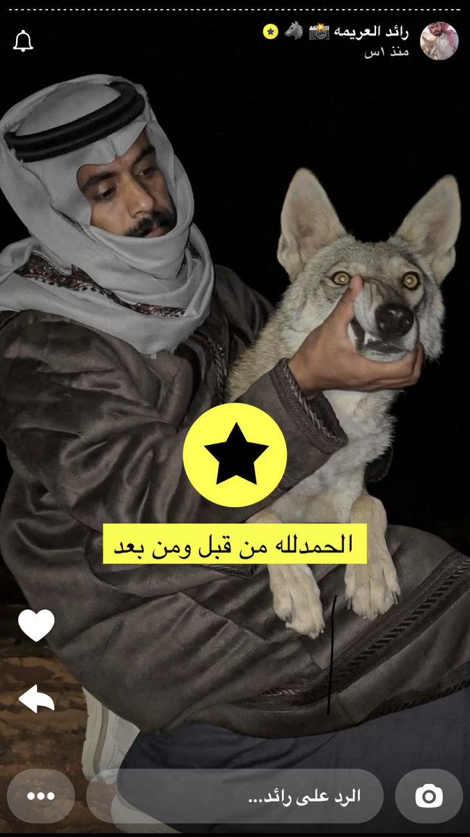 bo_fsooli_22 tweet media