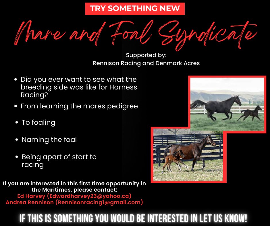 Calling All Horse Lovers! Rennison Racing and Denmark Acres Want Your Input on Their Incredible New Foal Ownership Group Opportunity! Share your thoughts and be a part of the action! 🐴🌟